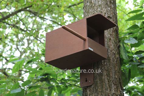 macaw nest boxes metal|building a kestrel nest box.